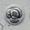 day 2 embryo development