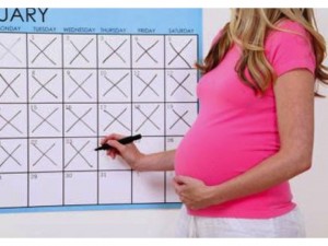 ivf pregnancy calculator