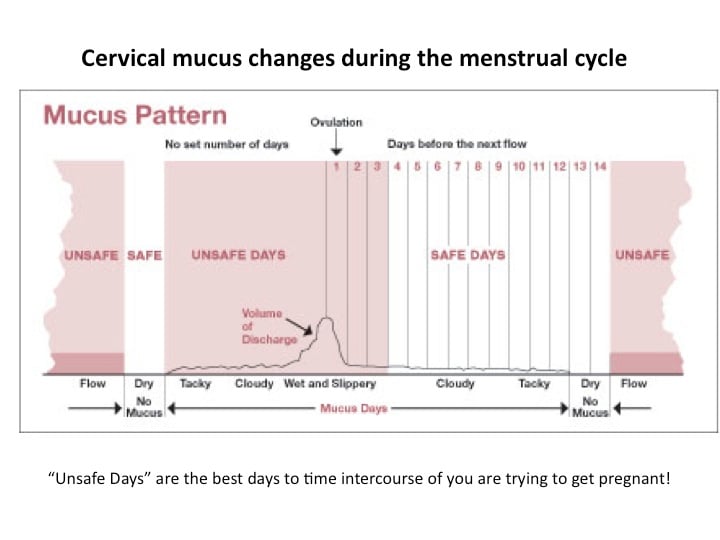 Cervical mucus changes - best time to get pregnant