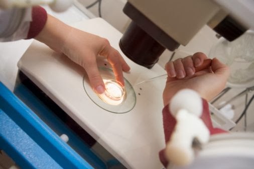 egg-in-ivf-lab.jpg