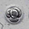 embryo development IVF 4
