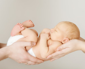 IVF embryo transfer what happens next
