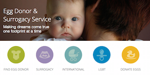 InVia-Egg-Donor-Surrogacy-Services
