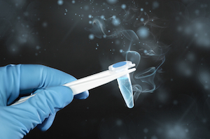 testicular sperm aspiration fresh or frozen