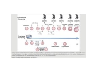 Conventional vs. optical assessment of embryos