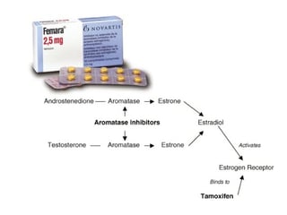Letrozole-for-ovulation-induction.jpg