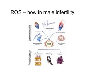 Slide2-4.jpg