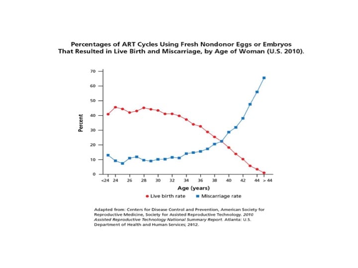 egg-donor-age-does-matter-chart.jpg