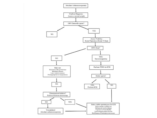 what-can-be-done-when-sperm-motility-is-zero.jpg