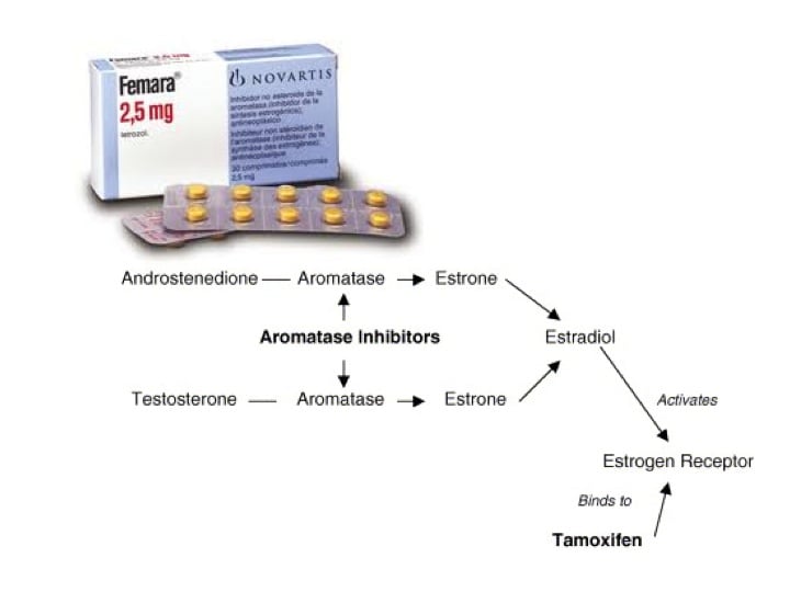 acheter de la chloroquine sans ordonnance