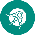 IUI icon