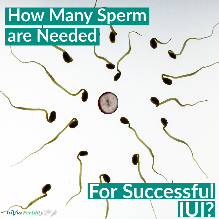 Iui low sperm motility